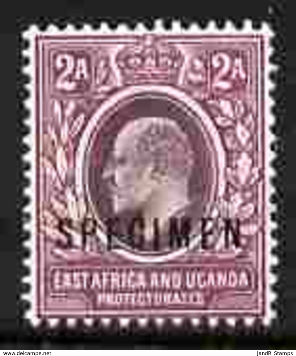 Kenya, Uganda & Tanganyika 1903-04 KE7 Crown CA 2a Overprinted SPECIMEN Fresh With Gum SG 3s (only About 750 Produced) - Altri & Non Classificati