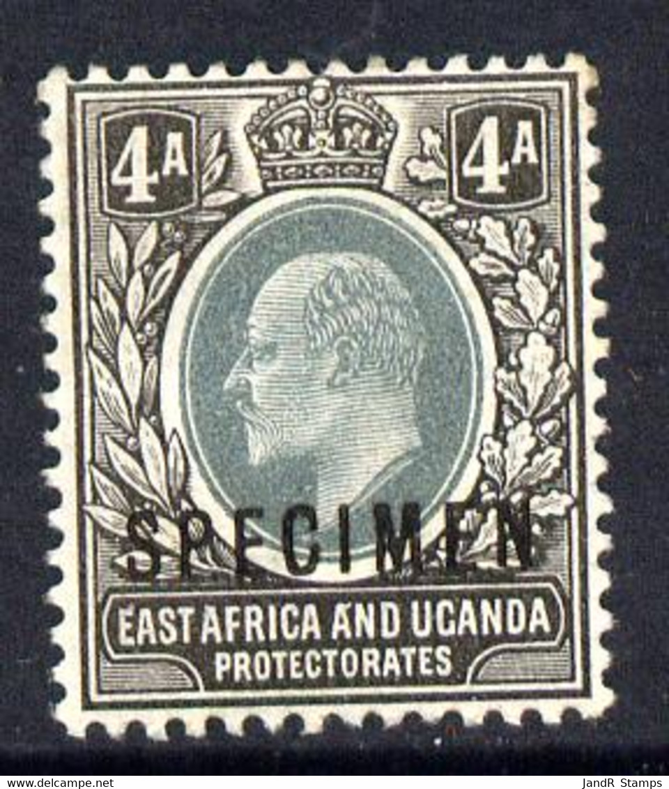 Kenya, Uganda & Tanganyika 1903-04 KE7 Crown CA 4a Overprinted SPECIMEN Fine With Gum Only About 730 Produced SG 6s - Other & Unclassified
