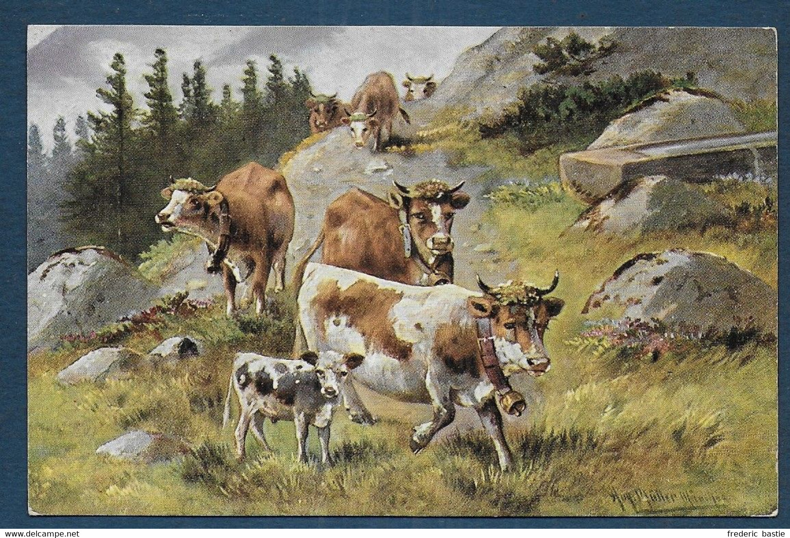 MÜLLER - Vaches - Mueller, August - Munich