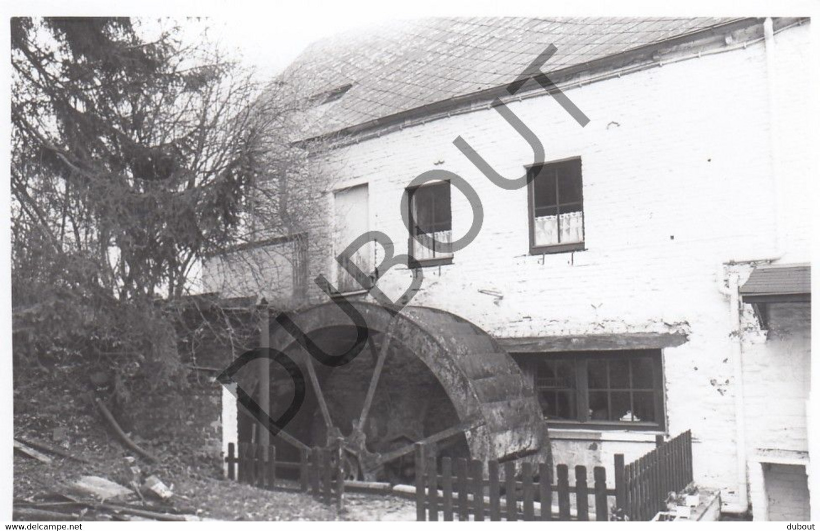 FENEUR  Molen / Moulin - Originele Foto Jaren '70  - Moulin Brakovich (Q285) - Dalhem