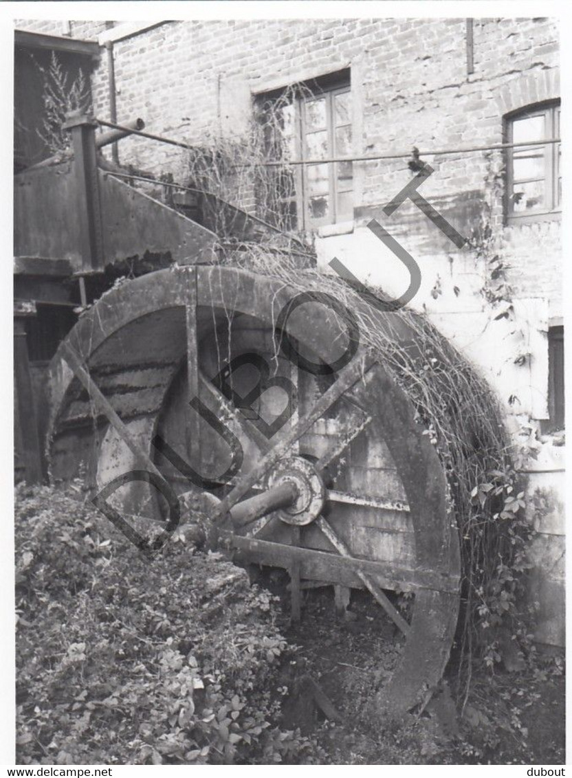 HEURE-LE-ROMAIN Molen / Moulin - Originele Foto Jaren '70  - Moulin Grenade  (Q309) - Oupeye