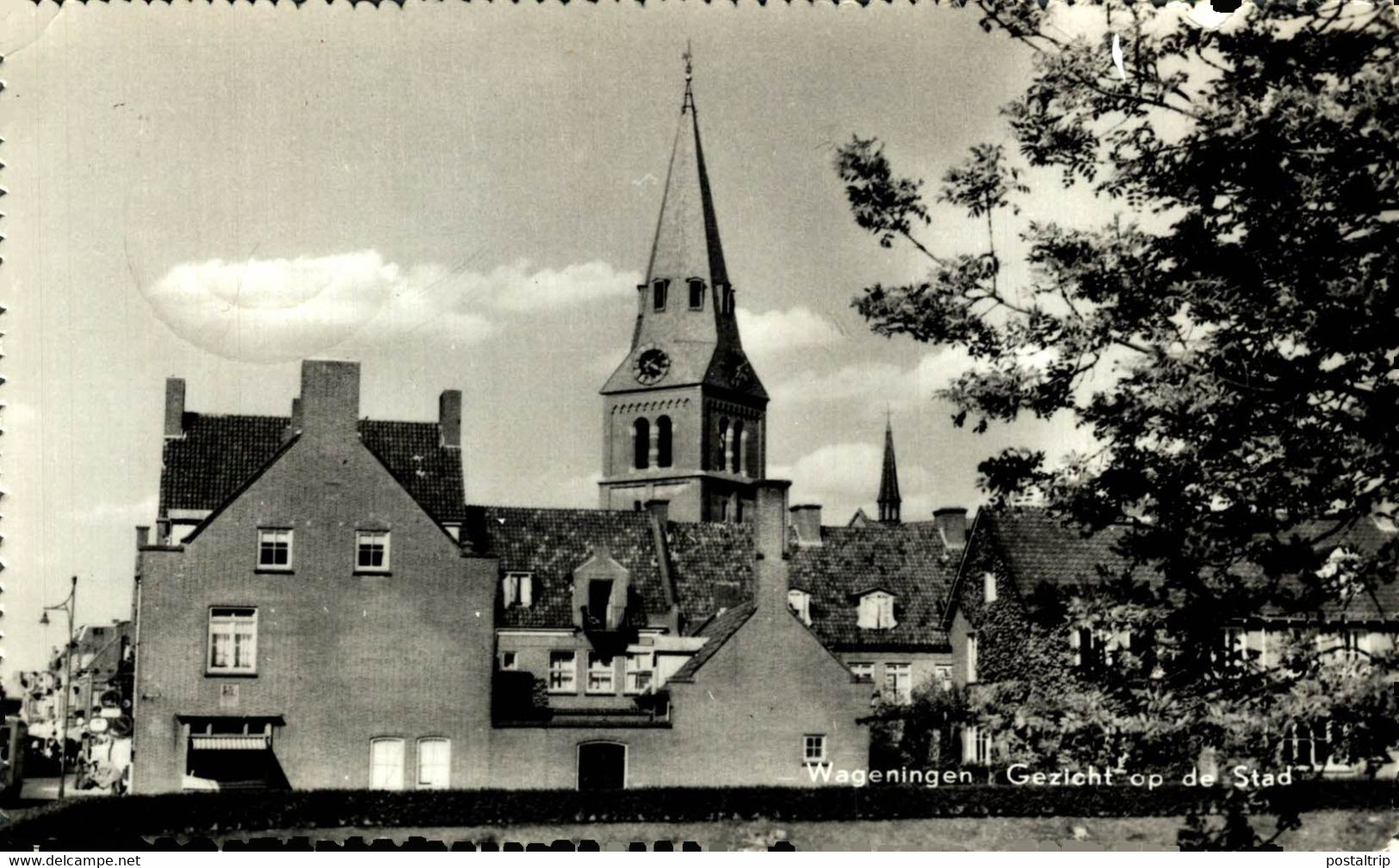 WAGENINGEN  GEZICHT OP DE STAD  GELDERLAND  HOLLAND HOLANDA NETHERLANDS - Wageningen