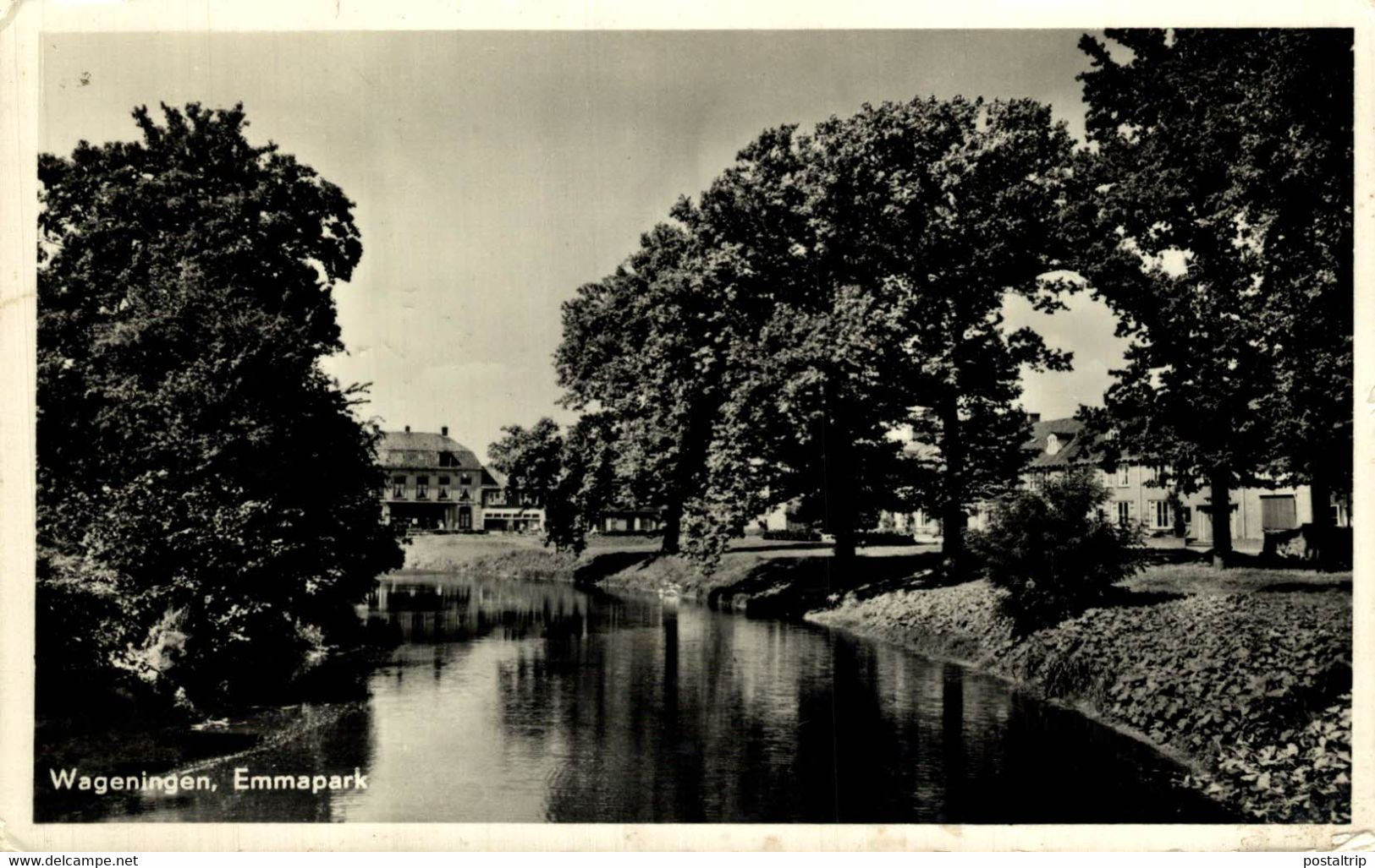 WAGENINGEN     EMMAPARK  GELDERLAND  HOLLAND HOLANDA NETHERLANDS - Wageningen