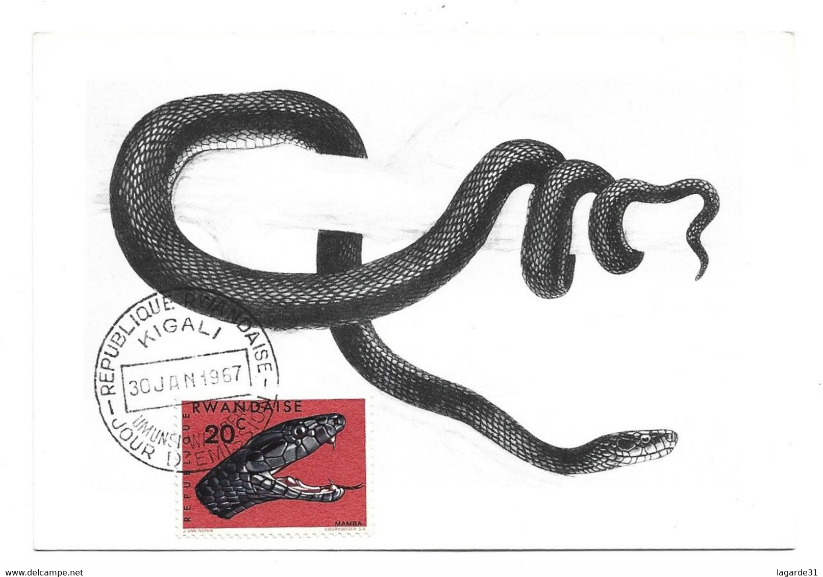 Mamba Noir Dendroaspis Augusticeps 1967 Carte Republique Rwanda - Serpents