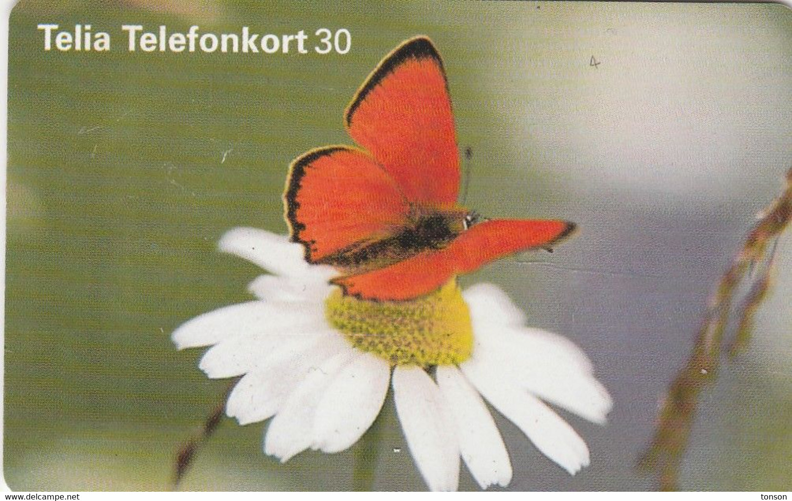 Sweden, 30.390, Fjäril Och Prästkrage, Butterfly And Flower, 2 Scans. - Butterflies