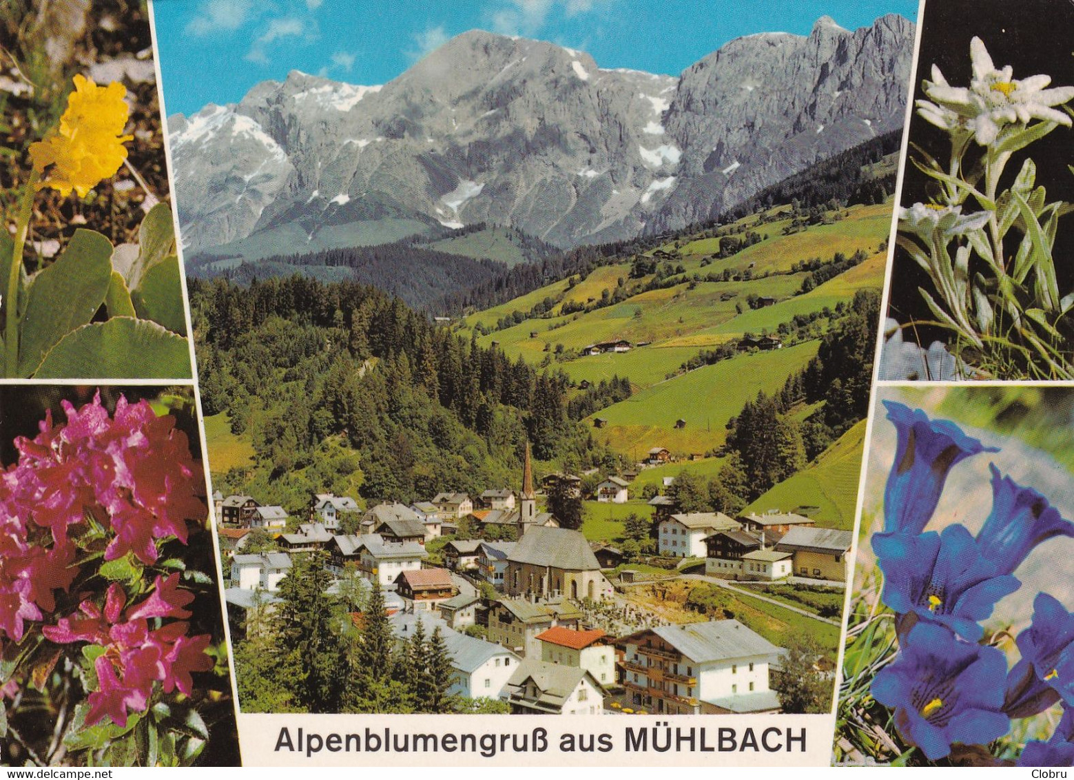 Mühlbach, Gegen Den Hochkönig - Mühlbach Am Hochkönig