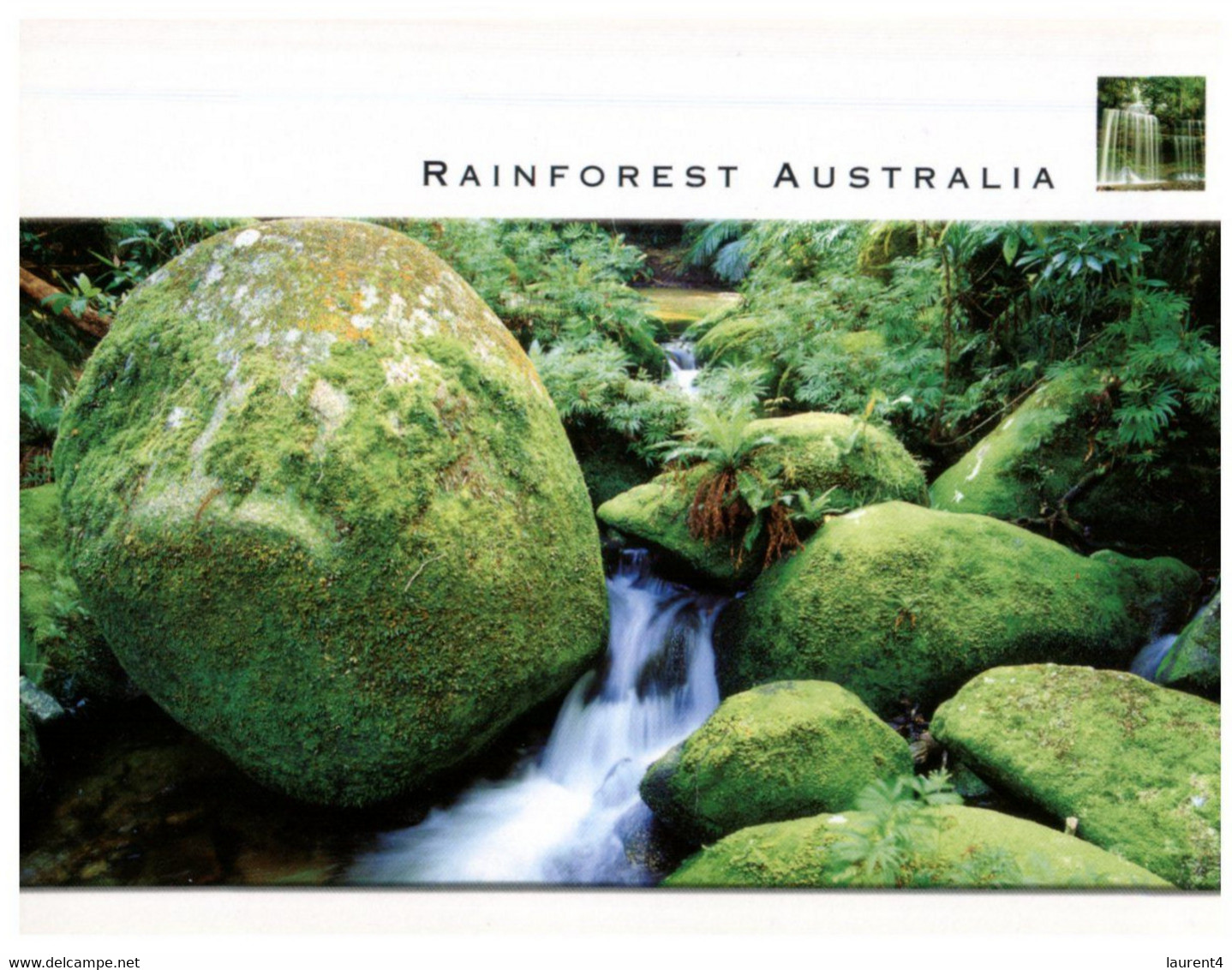 (RR 41) Australia - Rainforest - Far North Queensland