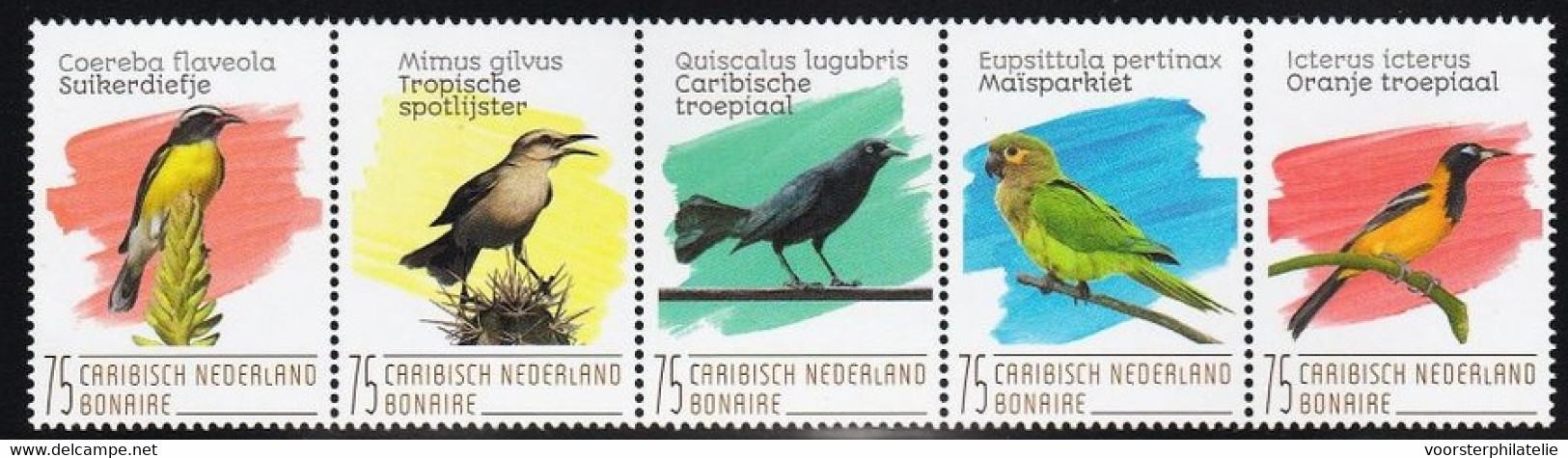 M ++ CARIBISCH NEDERLAND BONAIRE 2020 VOGELS BIRDS OISEAUX  ++ MNH POSTFRIS - Curaçao, Antilles Neérlandaises, Aruba