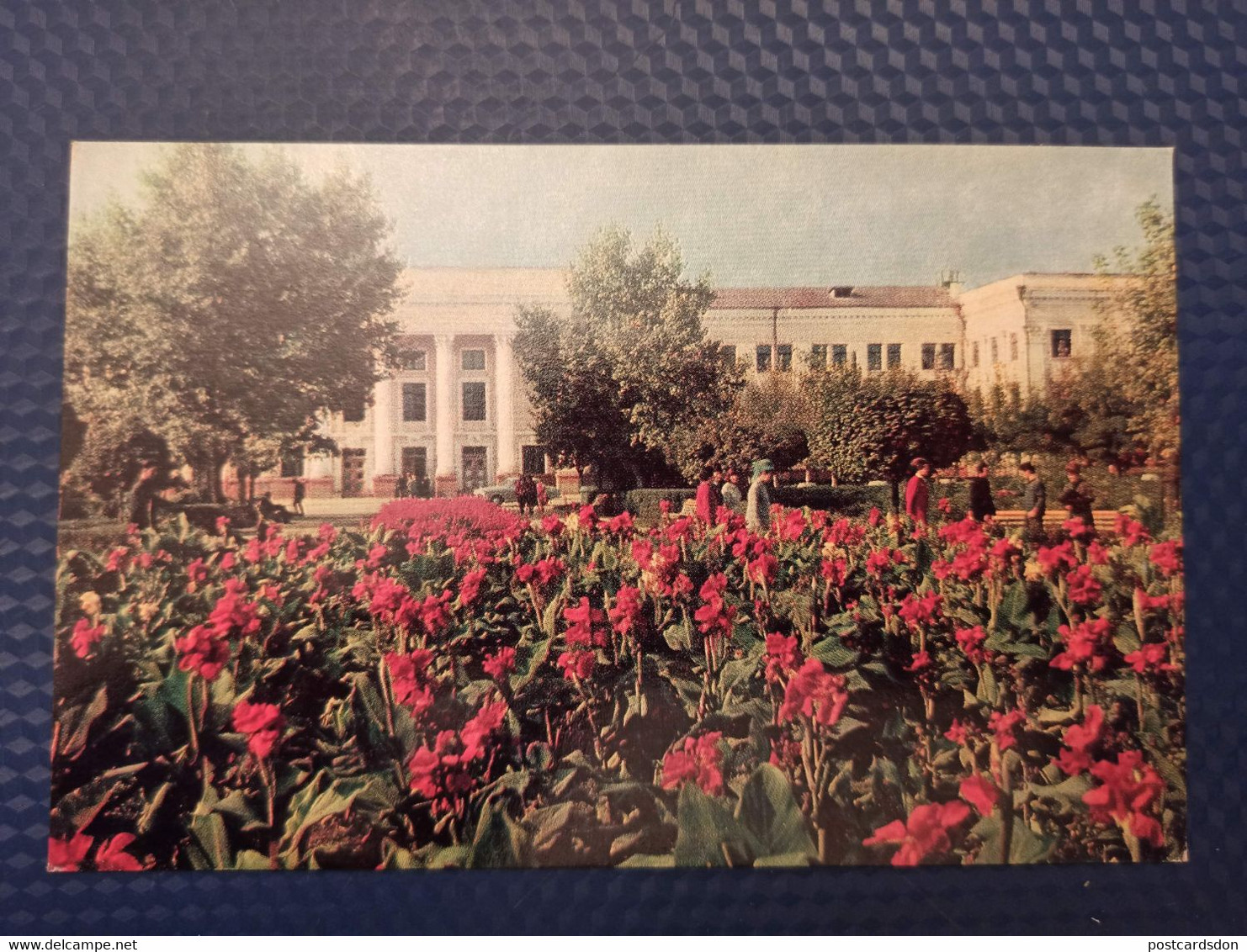 Russia. Chechen Republic - Grozny Capital. Pedagogical Institute - Old Postcard 1968 - Chechenia