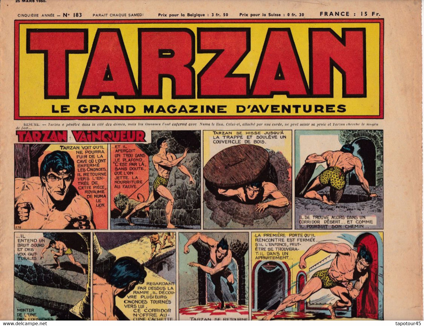 C 16) "Tarzan" > 5 Ième Année > 1950 > N° 183 > ( 4  Pgs R/V > FT 380 X 290 Mm - Tarzan