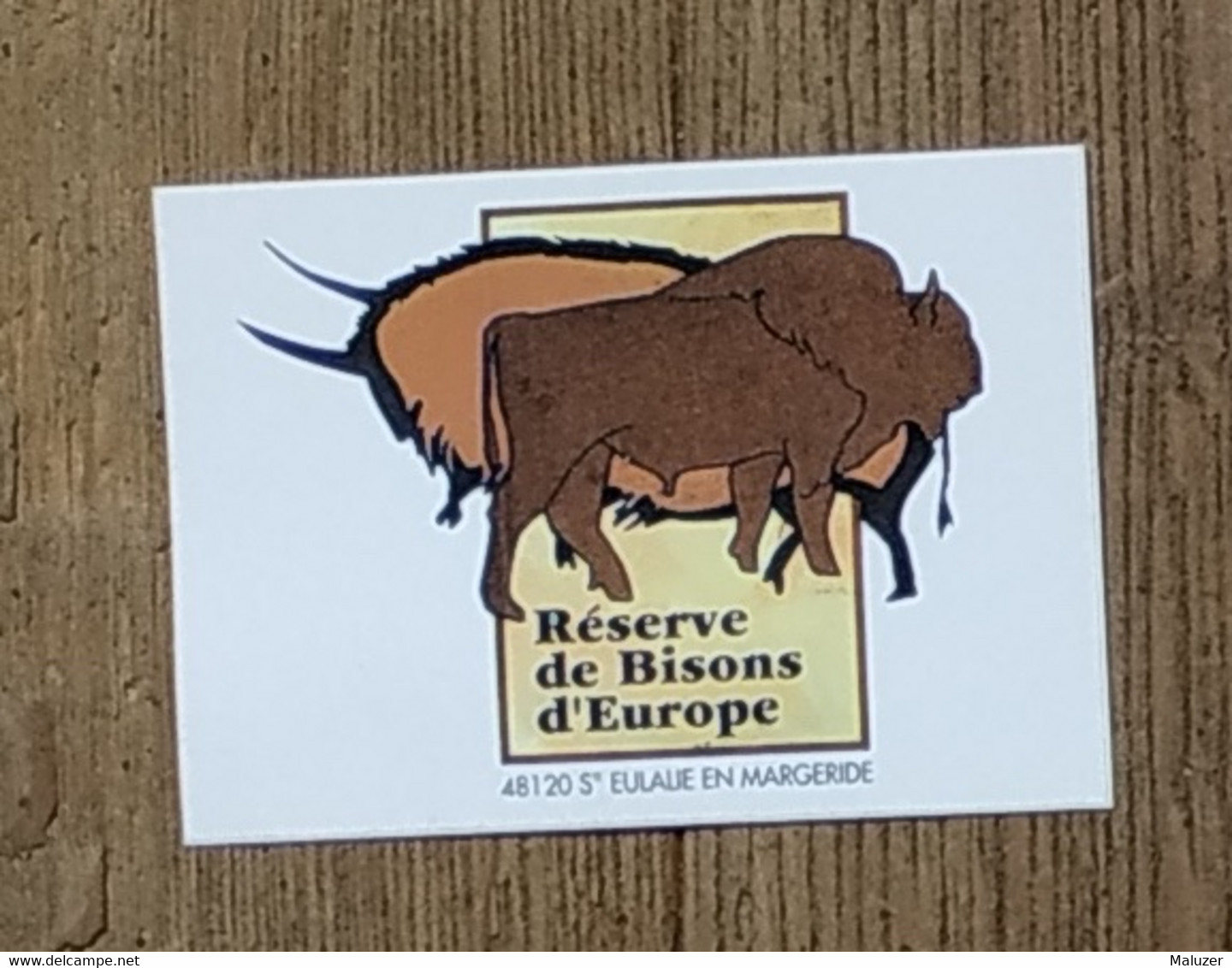 AUTOCOLLANT - RESERVE DE BISONS D'EUROPE 48120 SAINTE-EULALIE-EN-MARGERIDE - LOZÈRE - PROTECTION ANIMAUX NATURE - Stickers