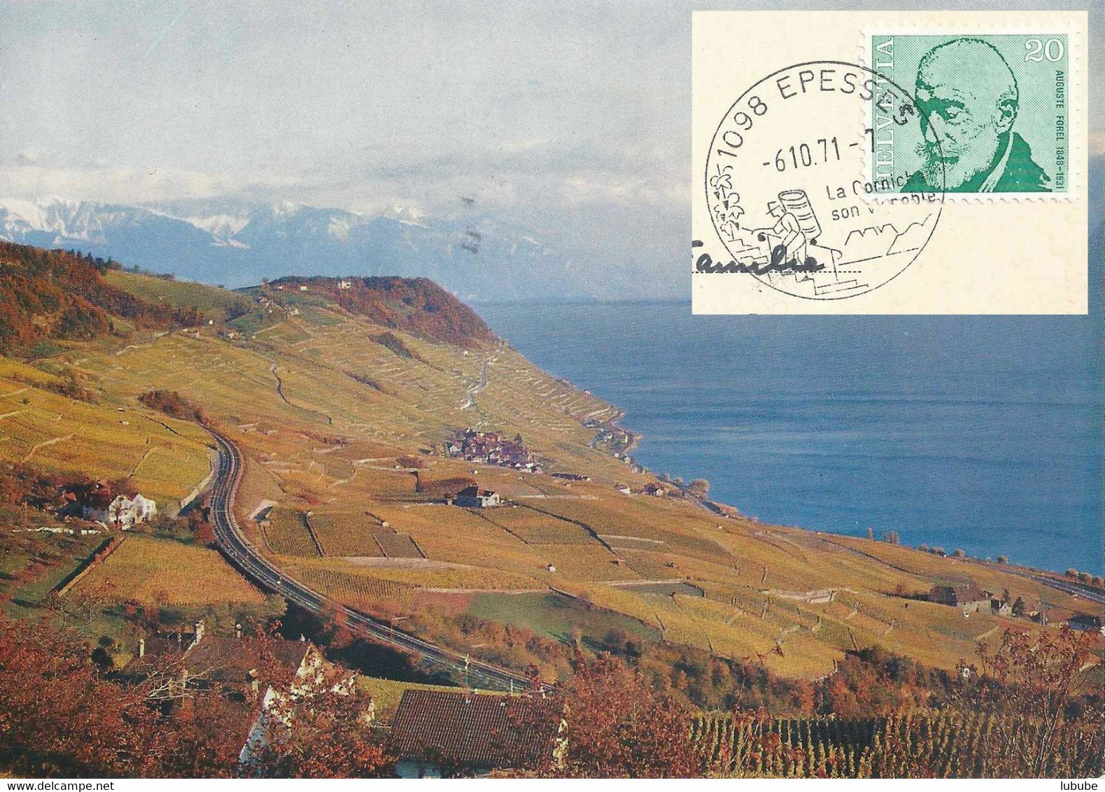 Lavaux - Lac Léman  (Stempel  EPESSES)           1971 - Épesses