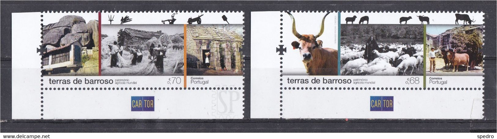 Portugal 2021 Terras De Barroso Património Agrícola Mundial World Agricultural Heritage Cow Animal Faune Cartor Corner - Farm