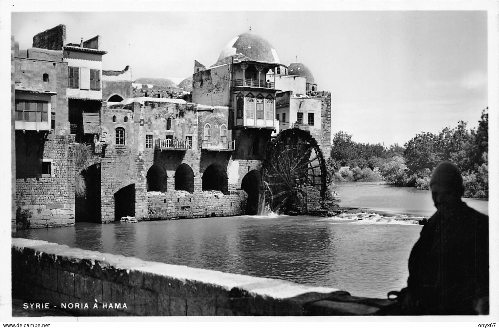 LIBAN-LEBANON Ou Syrie HAMA-HAMAH-Syrie-Noria Moulin-Molen-Mühle - Photo Sport Beyrouth - Syrien