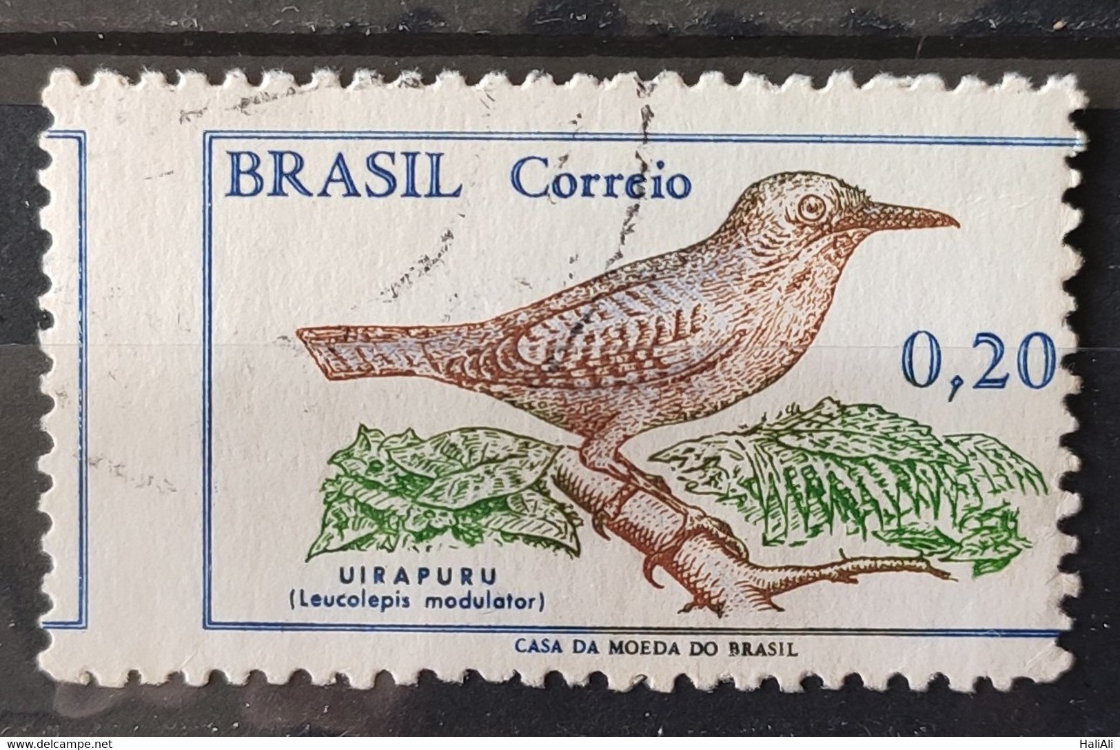 C 601 Brazil Stamp Brazilian Birds Uirapuru Fauna 1968 Circulated Variedade Picote Deslocado - Sonstige & Ohne Zuordnung
