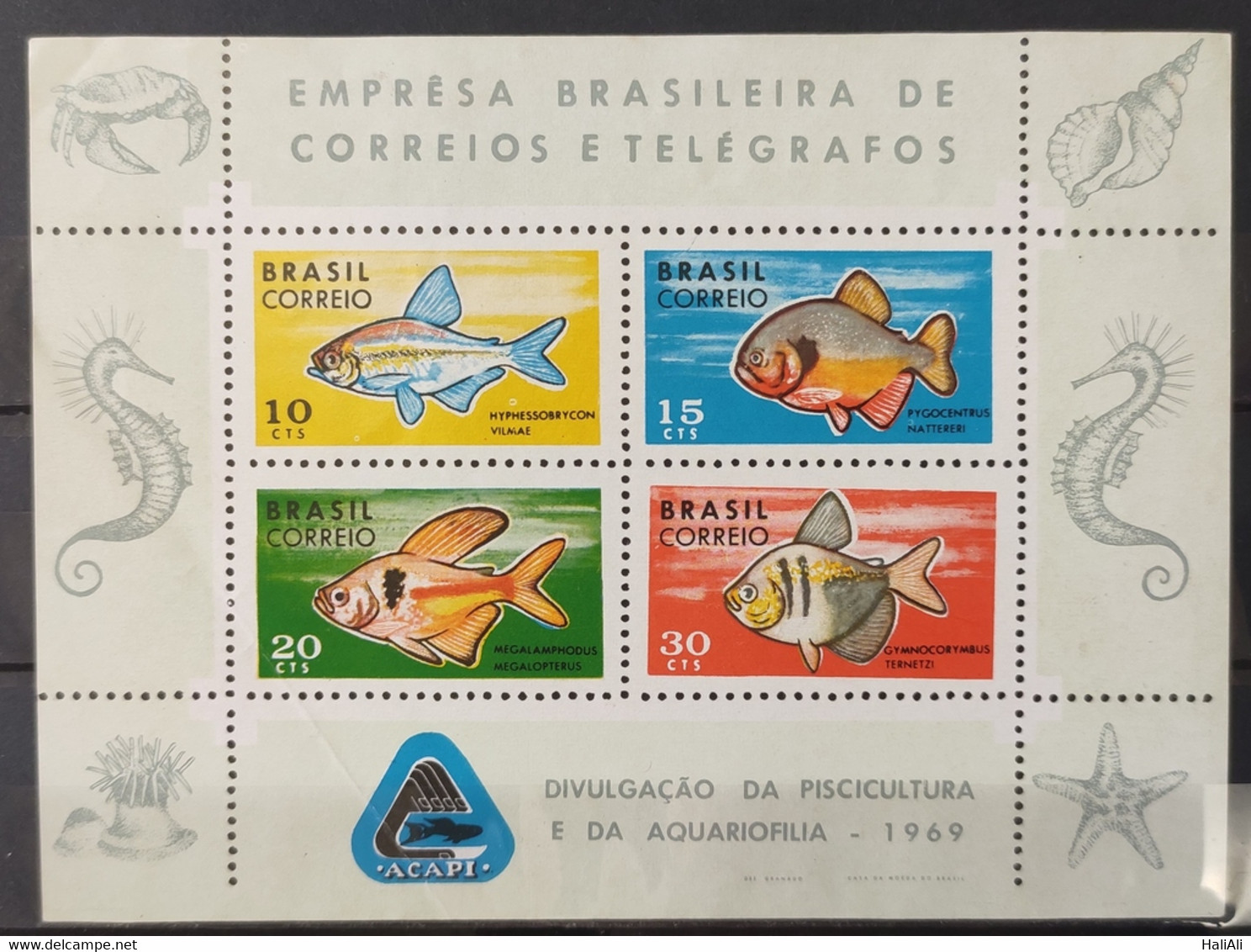 B 26 Brazil Stamp Disclosure Of Fish Farming Hippocampus Star Shell 1969 2 - Andere & Zonder Classificatie