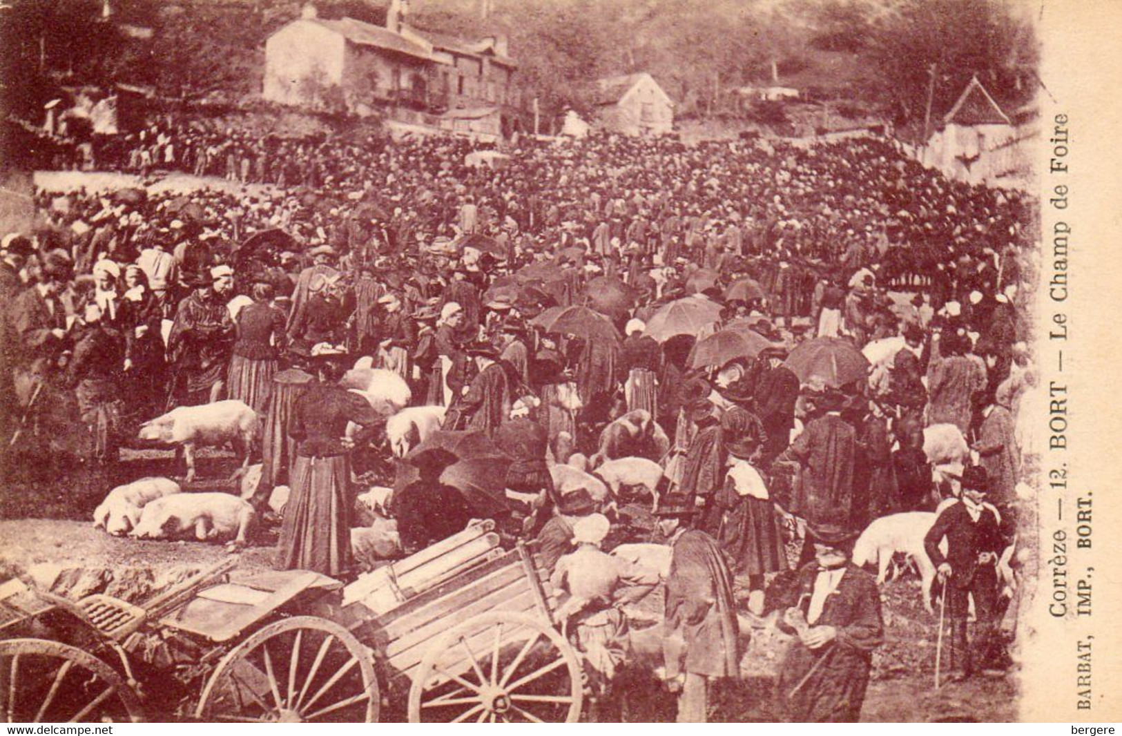 19. - CPA - BORT - Le Champ De Foire Un Jour De Foire - Marché Aux Cochons - - Fiere