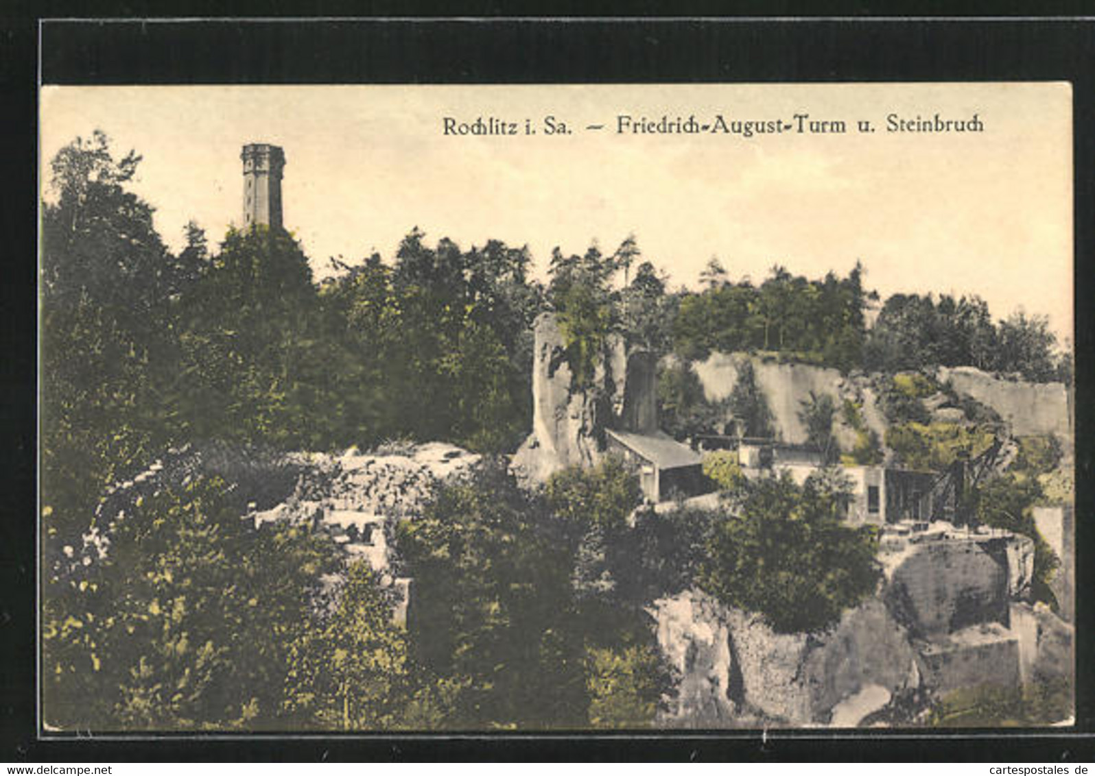 AK Rochlitz I.Sa., Friedrich-August-Turm Und Steinbruch - Rochlitz