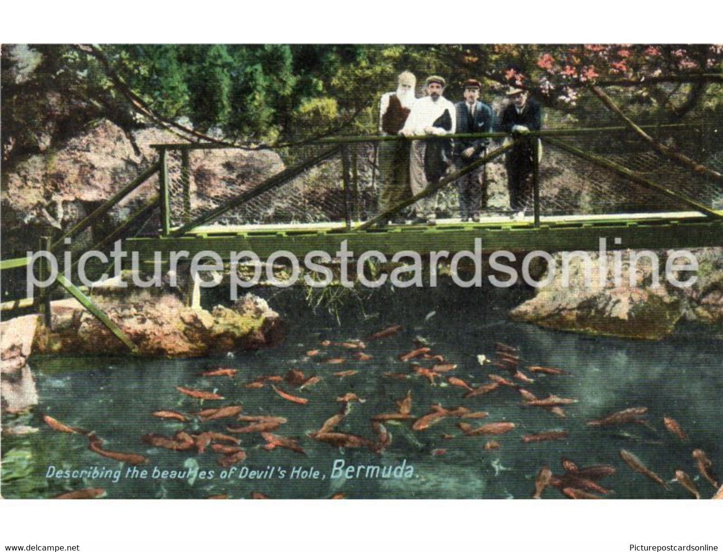 BERMUDA DESCRIBING THE BEAUTIES OF DEVILS HOLE OLD COLOUR POSTCARD ANTILLES - Bermuda