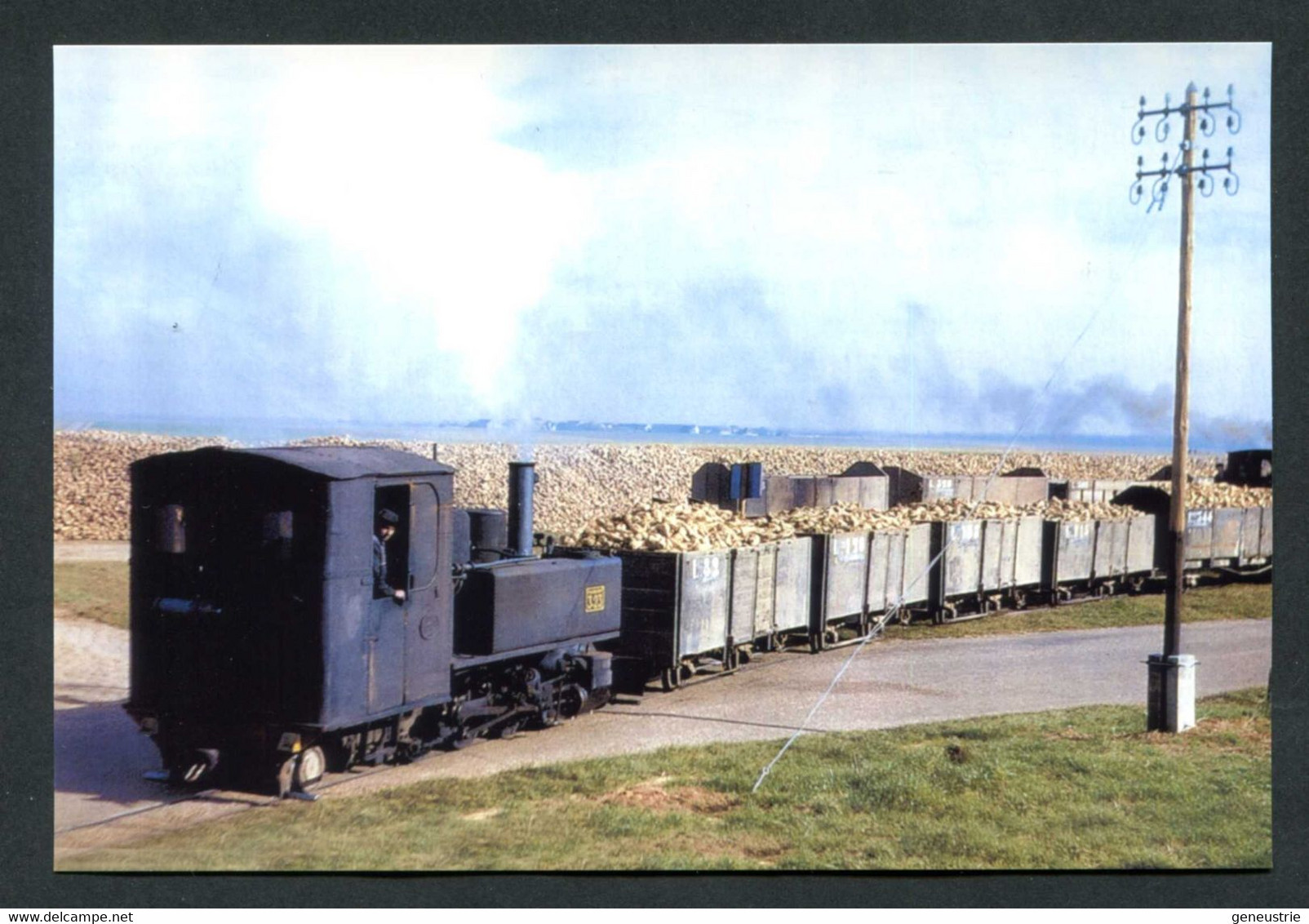 Carte-photo Moderne "Tramway De La Ligne Pithiviers-Toury - Transport De Betteraves à Sucre - Années 50" - Pithiviers