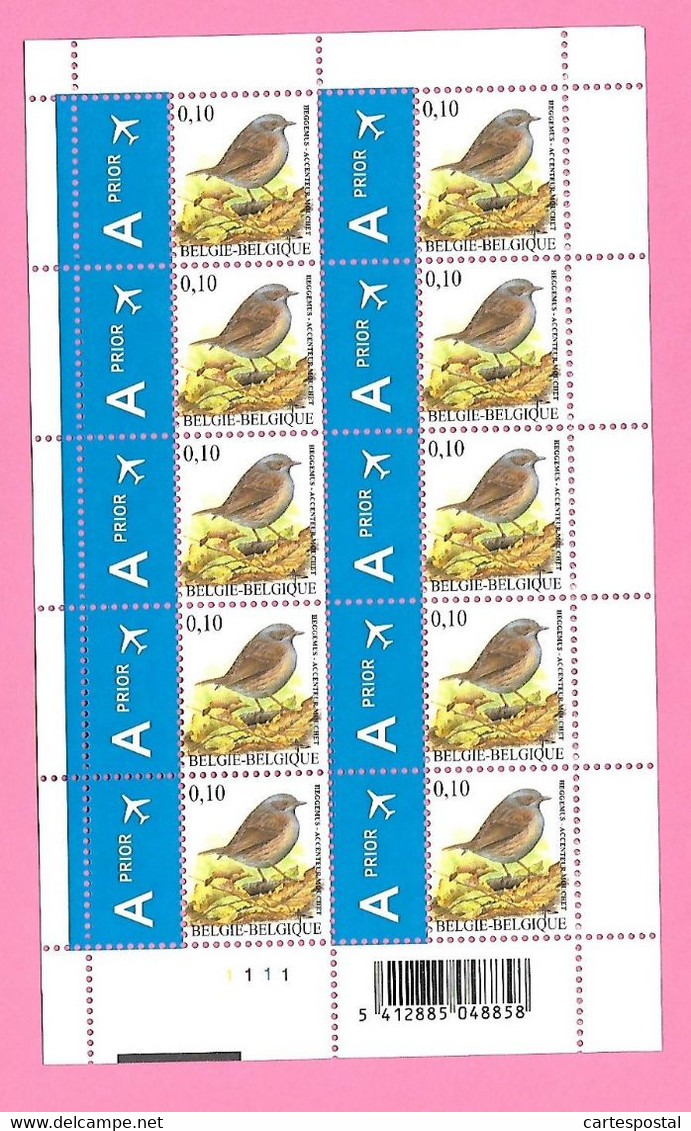 5485  -+-  BELGIQUE - 2008  N°  3749  Oiseaux De Buzin  Bloc De 10 Timbres  Neufs - Collections