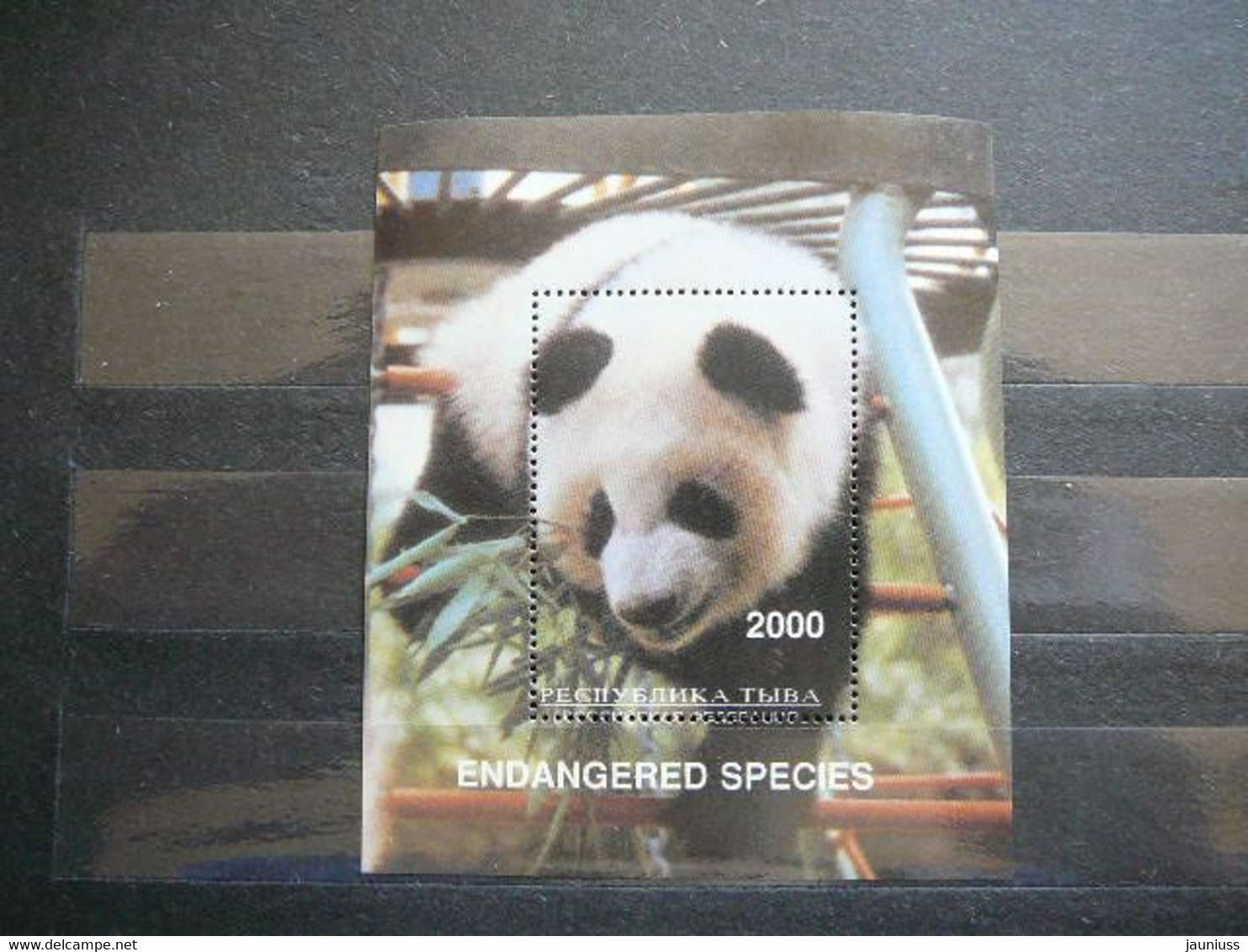 Panda Bears # Russia - Tuva(Touva) MNH #Pandas - Bears