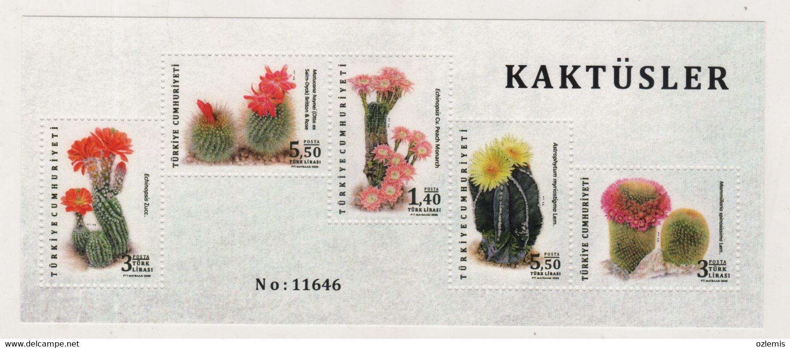 TURKEY,TURKEI,TURQUIE ,2020 CACTUS FLOWERS SOUVENIR SHEET  MNH - Cartas & Documentos