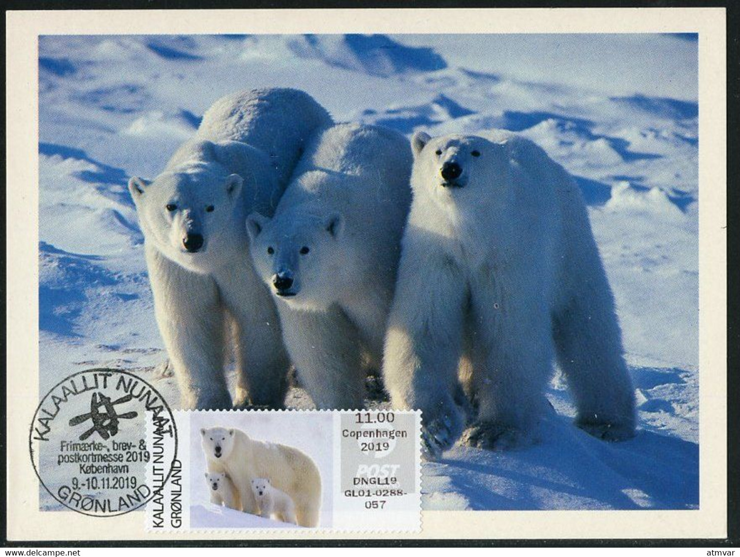 GREENLAND GROENLAND (2019) - Carte Maximum Card ATM - Polar Bear, Der Eisbär, Ours Blanc (Ursus Thalarctos Maritimus) - Cartes-Maximum (CM)