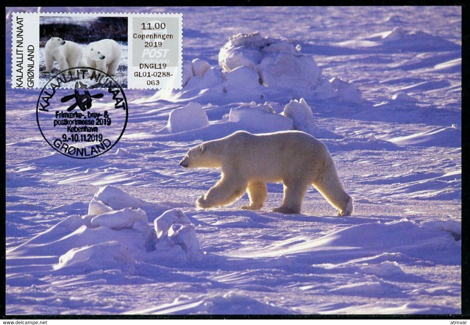 GREENLAND GROENLAND (2019) - Carte Maximum Card ATM - Polar Bear, Der Eisbär, Ours Blanc (Ursus Thalarctos Maritimus) - Cartes-Maximum (CM)