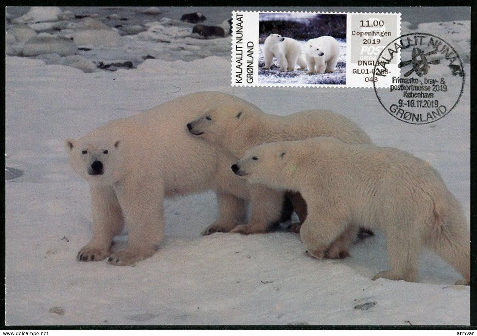 GREENLAND GROENLAND (2019) - Carte Maximum Card ATM - Polar Bear, Der Eisbär, Ours Blanc (Ursus Thalarctos Maritimus) - Cartes-Maximum (CM)