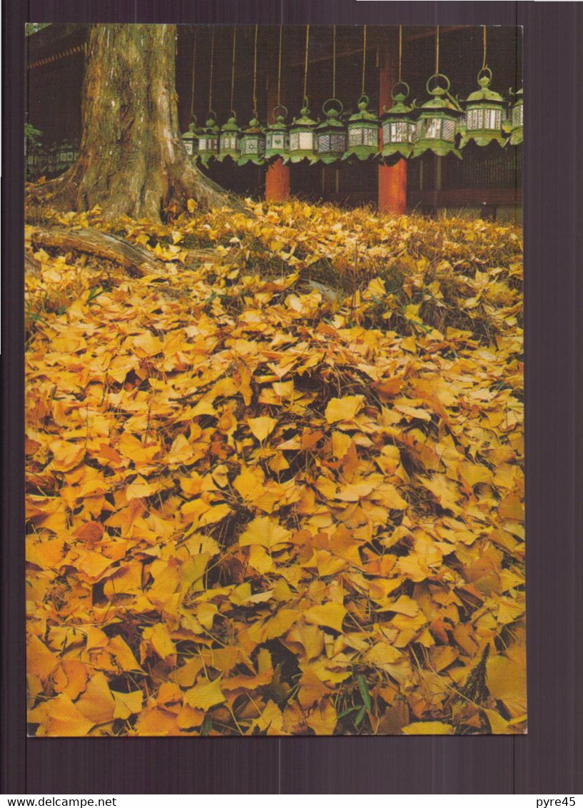 JAPON KASUGA SHRINE NARA - Nagoya