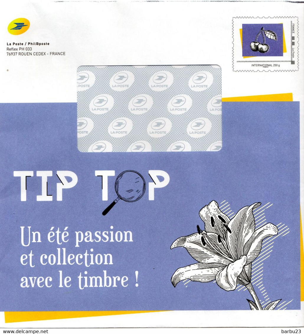 PAP Philaposte International 250g Cerises Sur Enveloppe De Catalogue La Poste.315055 Au Dos - PAP: Sonstige (1995-...)