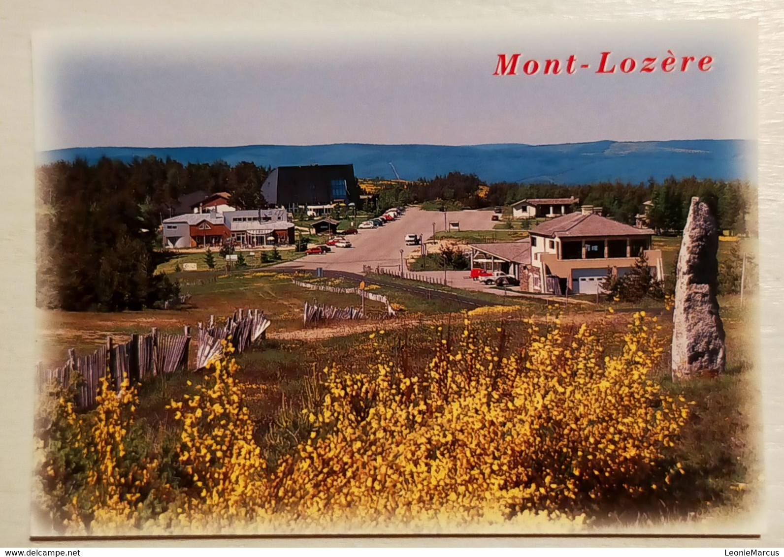 812/CPM - 48 Le Bleymard - Station Du Mont Lozère - Le Centre U.C.P.A Et Le Refuge - Le Bleymard