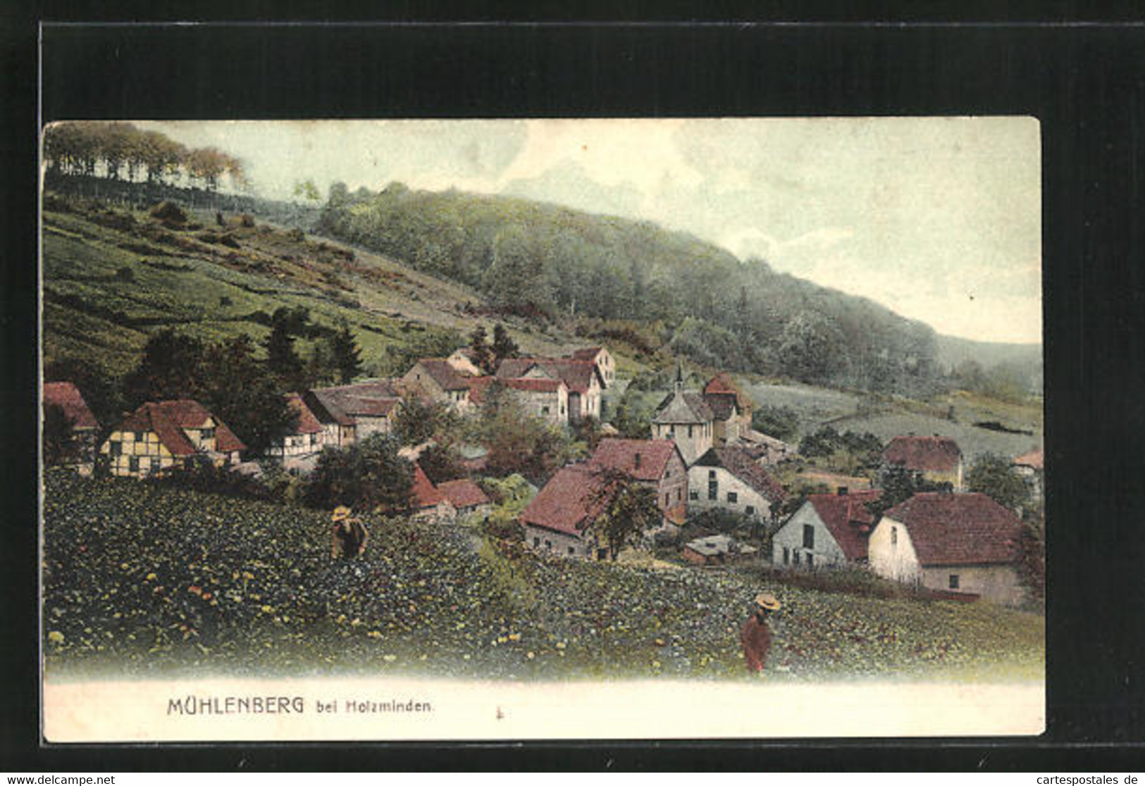 AK Mühlenberg Bei Holzminden, Panoramablick Von Der Feldwiese - Holzminden