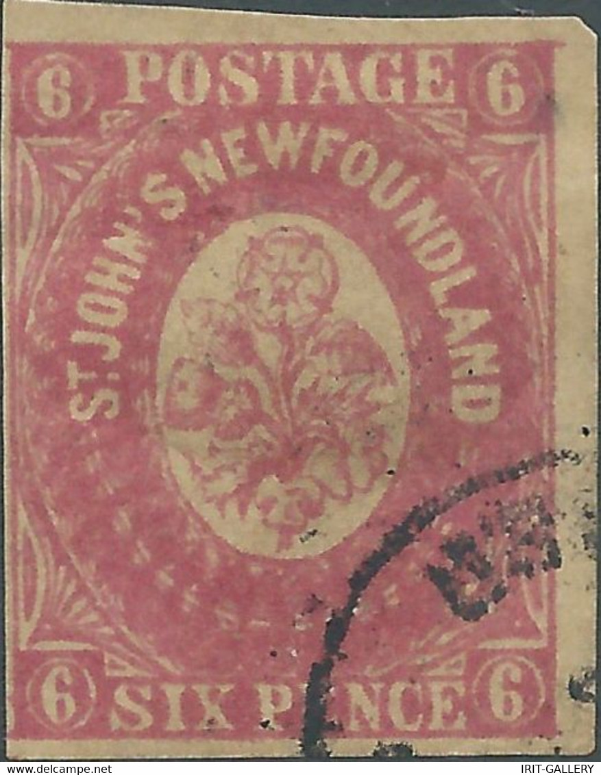 Newfoundland Island,1861 -1862 New Color 6P Matt Pink ,Hard Paper,Imperforated,Hinged,Oblitered,Value:€125,00 - 1857-1861
