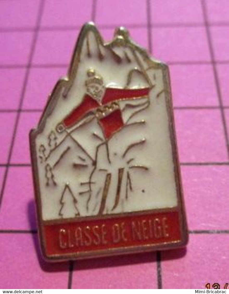 312a Pin's Pins / Beau Et Rare / THEME : ADMINISTRATIONS / CLASSE DE NEIGE S'amuser Au Lieu De Bosser.. Vive Le Mamouth - Amministrazioni