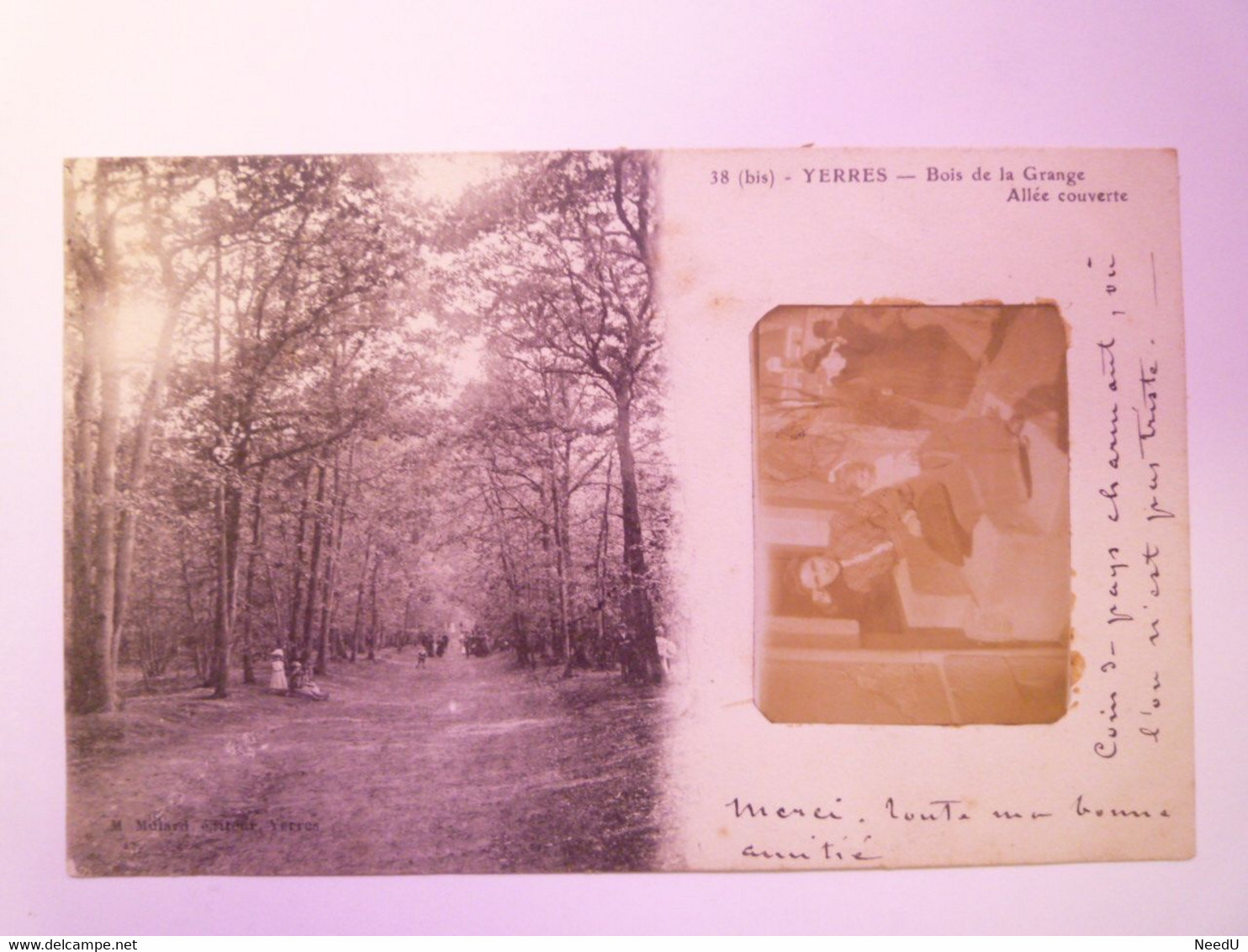 GP 2021 - 154  YERRES  (Essonne)  :  Bois De La Grange  -  Allée Couverte  +  PHOTO  1903  XXX - Yerres