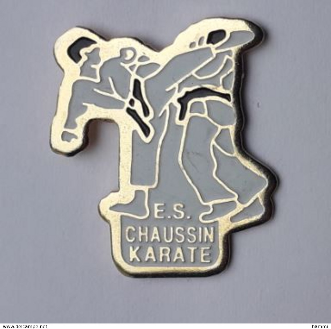 QQ123 Pin's Judo Karaté ES CHAUSSIN JURA Achat Immédiat - Judo