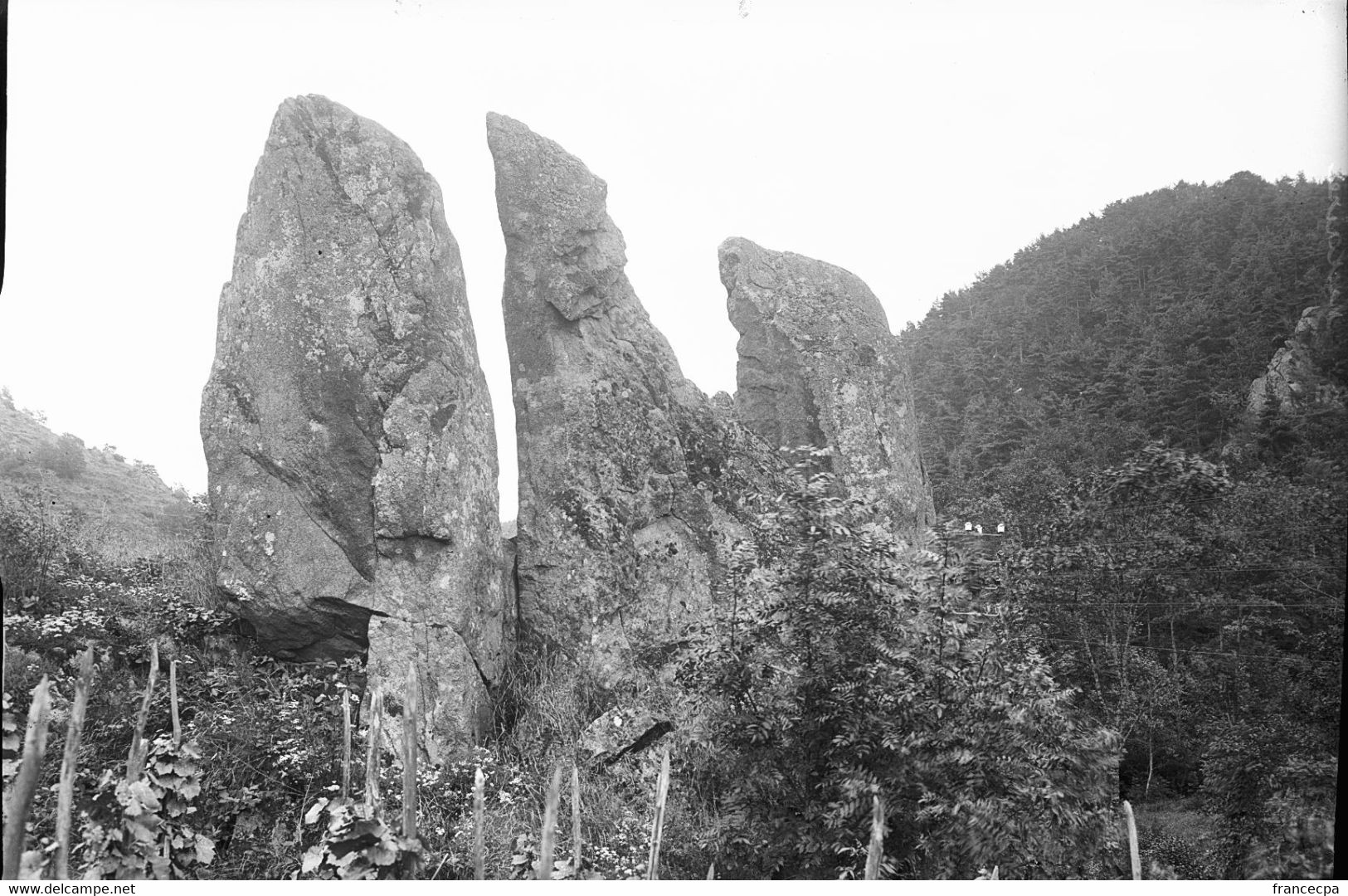 PN 013 - PUY DE DOME - SAINT NECTAIRE - Rochers Les Trois Frères - Plaque Photo Originale - Plaques De Verre