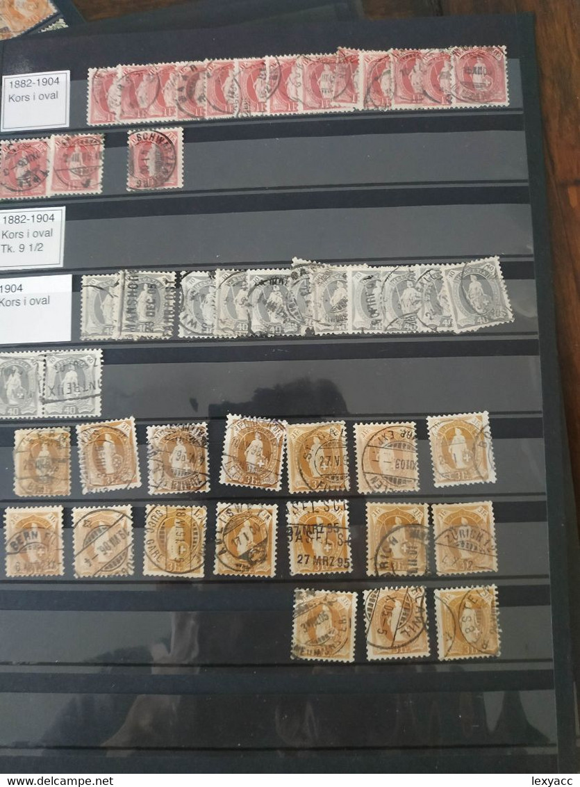 Giant Collection On Standing Helvetia - Used Stamps