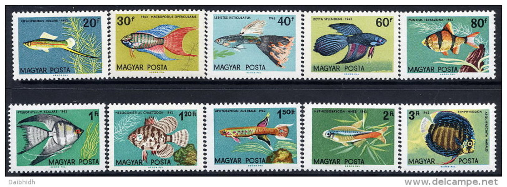 HUNGARY 1962 Ornamental Fish Set Of 10 MNH / **.  Michel 1820-29 - Ungebraucht