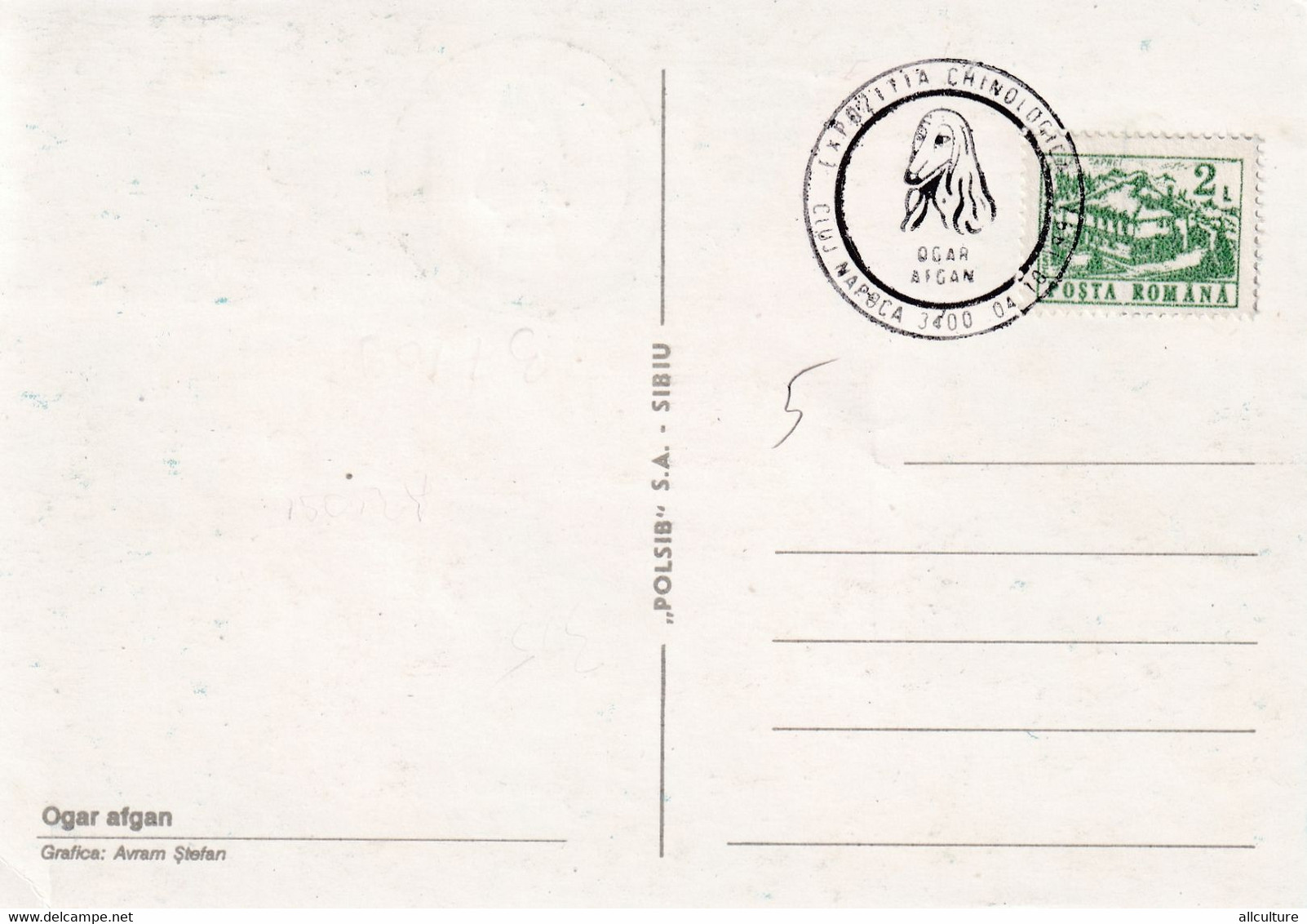 A9031- OGAR AFGAN DOG, DOG EXHIBITION CLUJ NAPOCA BRNO 1990 USED STAMP ON COVER  MAXIMUM CARD ROMANIA - Honden