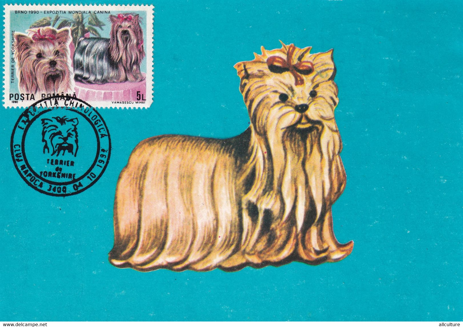 A9032- YORKSHIRE TERRIER, DOG EXHIBITION CLUJ NAPOCA 1992 USED STAMP ON COVER  MAXIMUM CARD ROMANIA - Honden