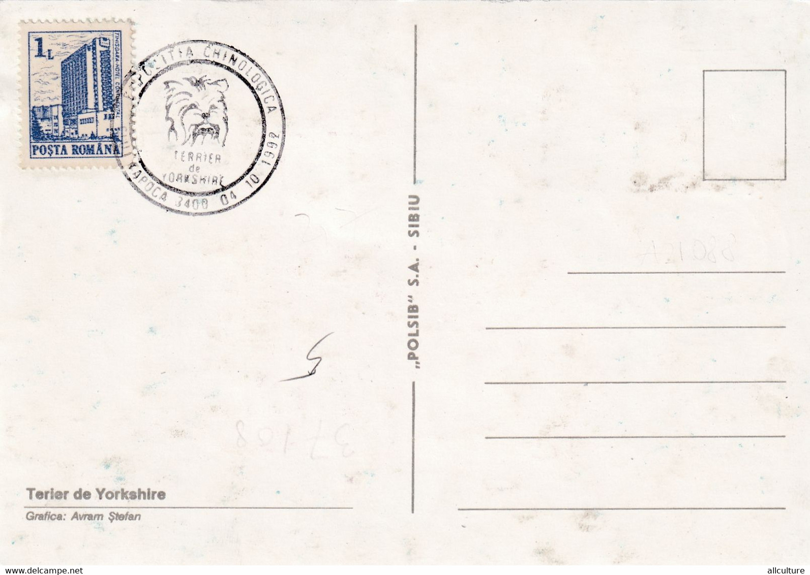 A9032- YORKSHIRE TERRIER, DOG EXHIBITION CLUJ NAPOCA 1992 USED STAMP ON COVER  MAXIMUM CARD ROMANIA - Honden