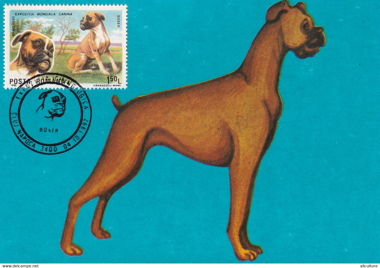 A9033- BOXER, WORLD DOG EXHIBITION CLUJ NAPOCA 1992 USED STAMP ON COVER  MAXIMUM CARD ROMANIA - Honden