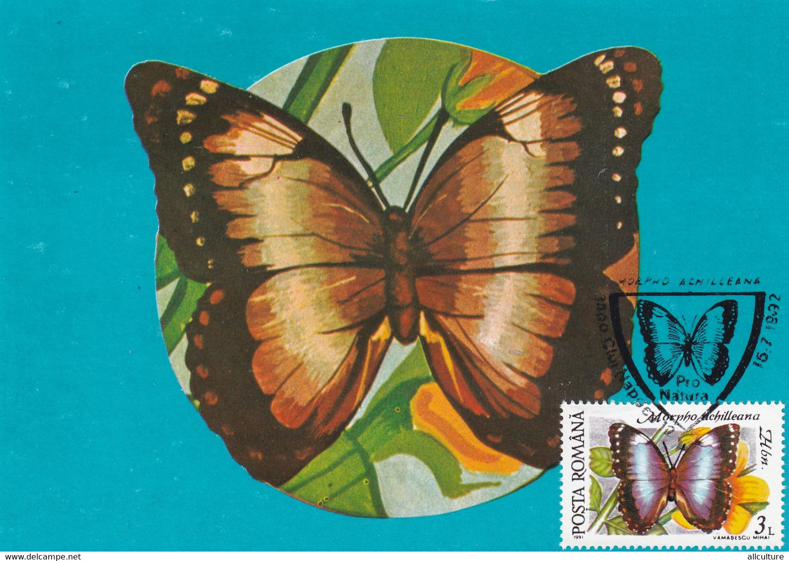 A9036- MORPHO ACHILLEANA BUTTERFLY, PRONATURE CLUJ NAPOCA 1992 ROMANIA, MAX CARD USED STAMP ON COVER POSTCARD - Vlinders