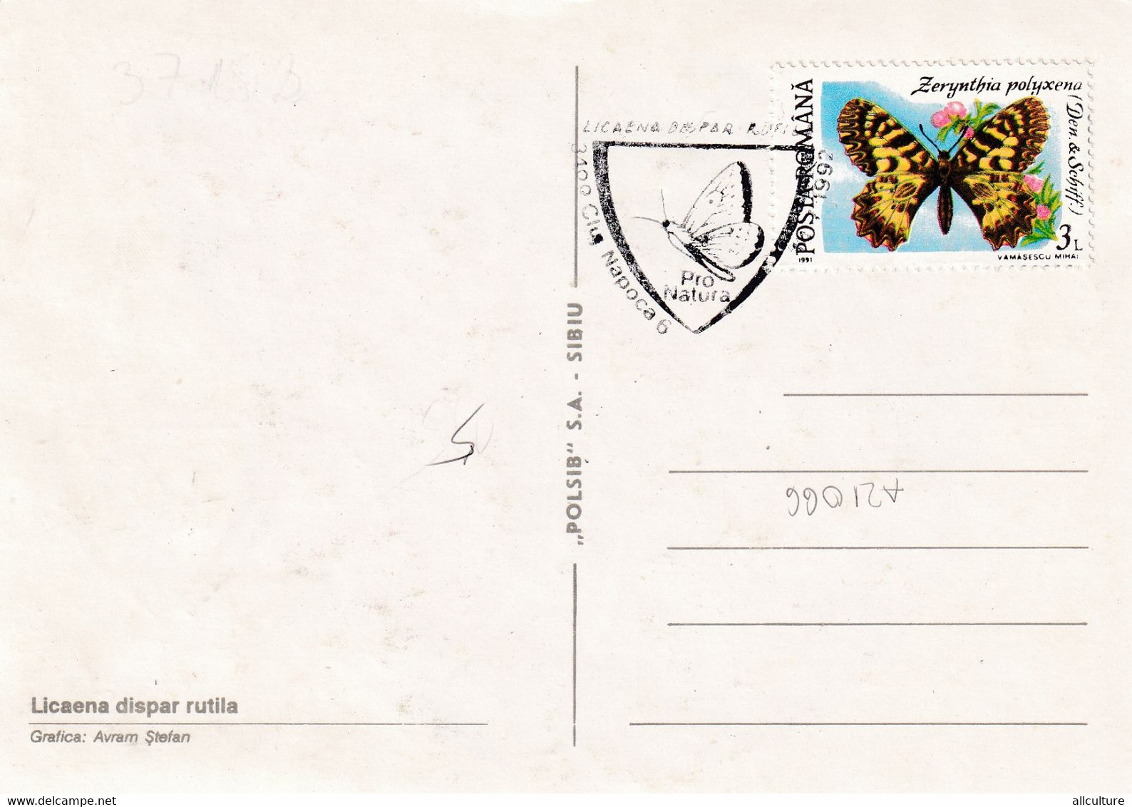 A9037- LICAENA DISPAR RUTILA BUTTERFLY, PRONATURE CLUJ NAPOCA 1992 ROMANIA, MAX CARD USED STAMP ON COVER POSTCARD - Vlinders