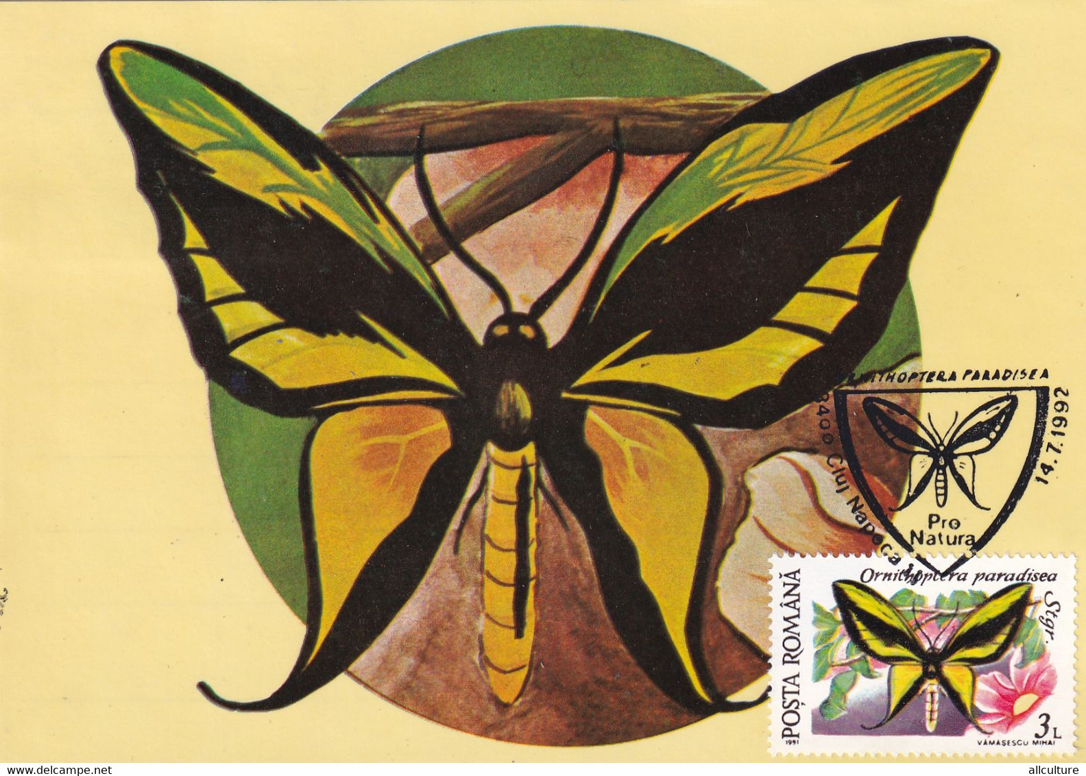 A9038- ORNITHOPTERA PARADISEA BUTTERFLY, PRONATURE CLUJ NAPOCA 1992 ROMANIA, MAX CARD USED STAMP ON COVER POSTCARD - Vlinders