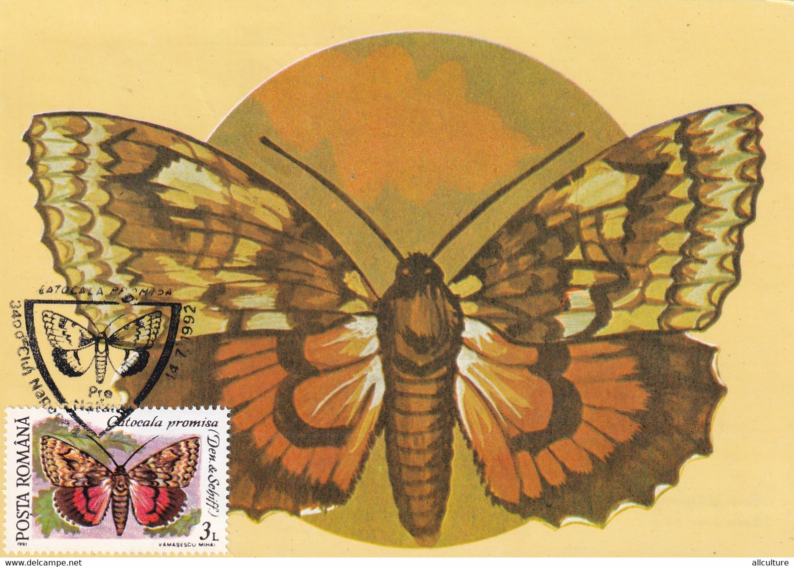 A9039- CATOCALA PROMISA BUTTERFLY, PRONATURE CLUJ NAPOCA 1992 ROMANIA, MAX CARD USED STAMP ON COVER POSTCARD - Vlinders
