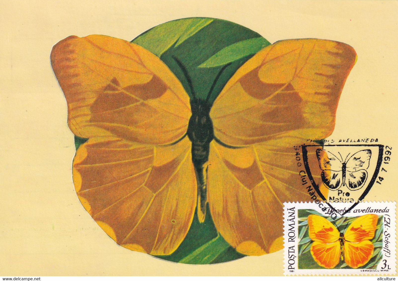 A9041- PHOEBIS AVELLANEDA BUTTERFLY, PRONATURE CLUJ NAPOCA 1992 ROMANIA, MAX CARD USED STAMP ON COVER POSTCARD - Vlinders